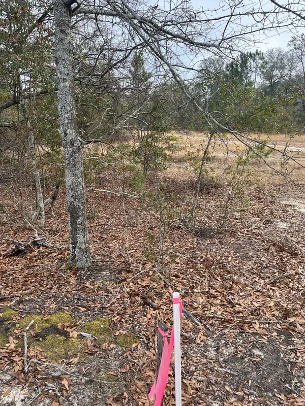 Whl 7 Rainbow Drive #Whl 7, Salley, SC 29137