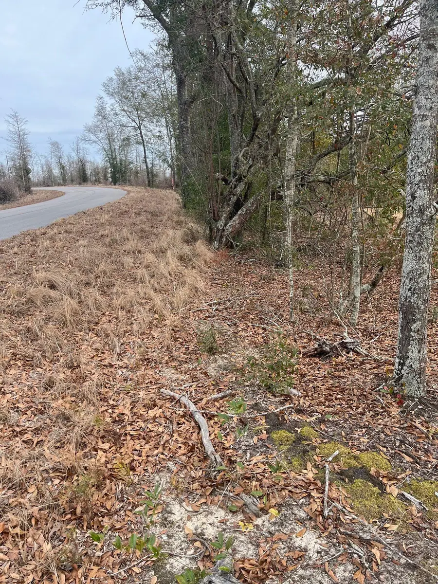 Whl 7 Rainbow Drive #Whl 7, Salley, SC 29137 - #2