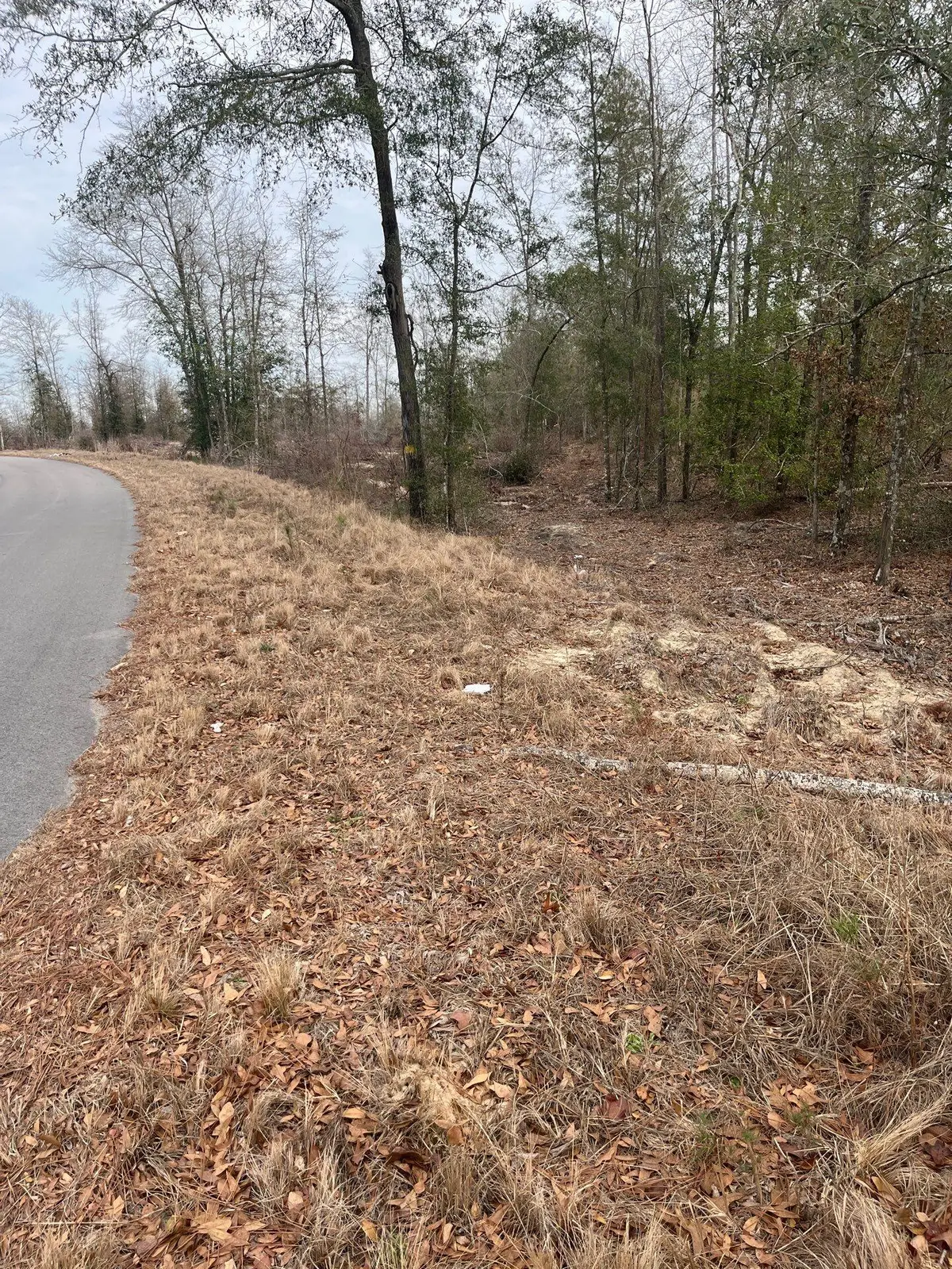 Whl 8 Rainbow Drive #Whl 8, Salley, SC 29137 - #1