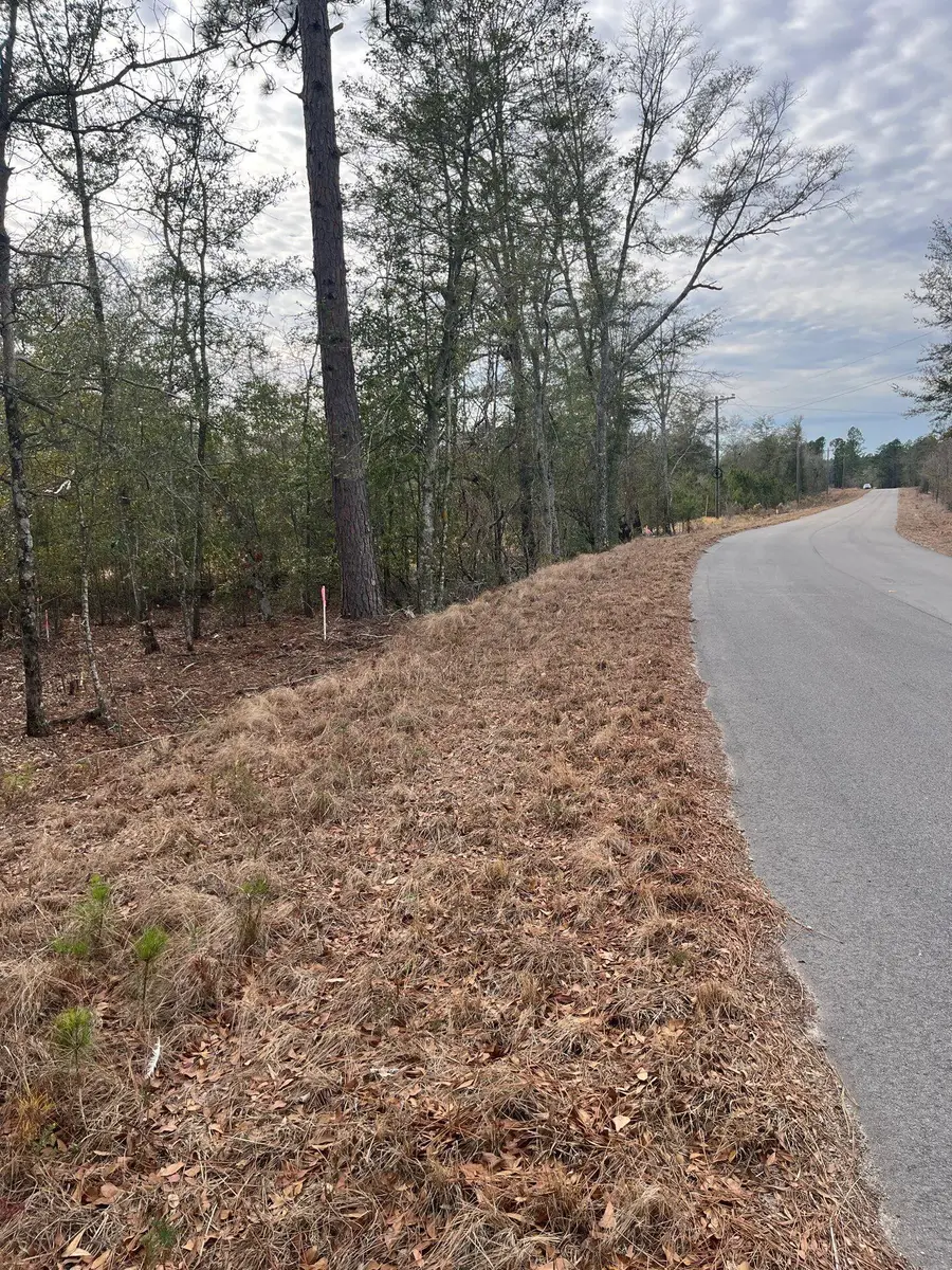 Whl 8 Rainbow Drive #Whl 8, Salley, SC 29137 - #2