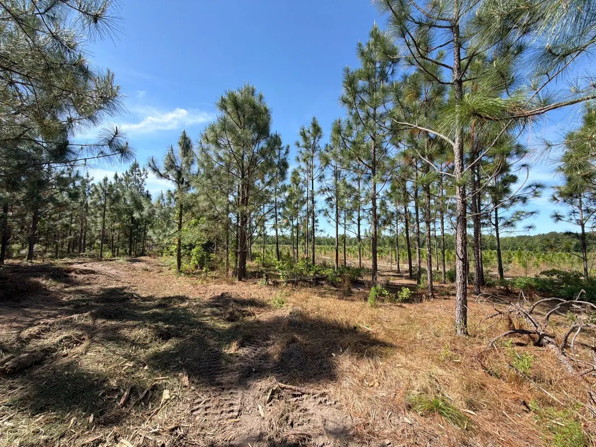 Hrf 3 Holstein Road #Hrf 3, Wagener, SC 29164 - #1