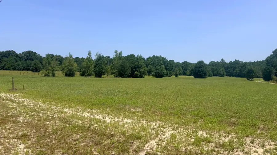 Tbd Poinsettia Road, Wagener, SC 29164 - #2
