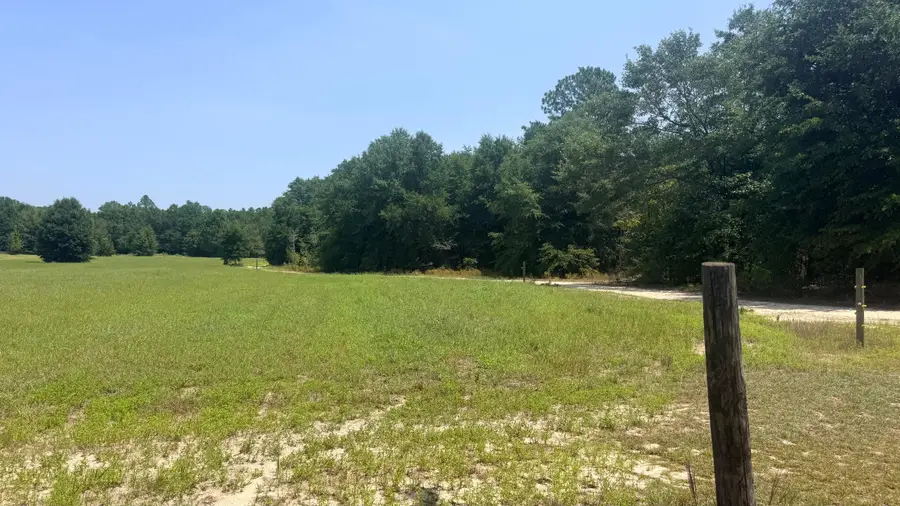 Tbd Poinsettia Road, Wagener, SC 29164 - #3