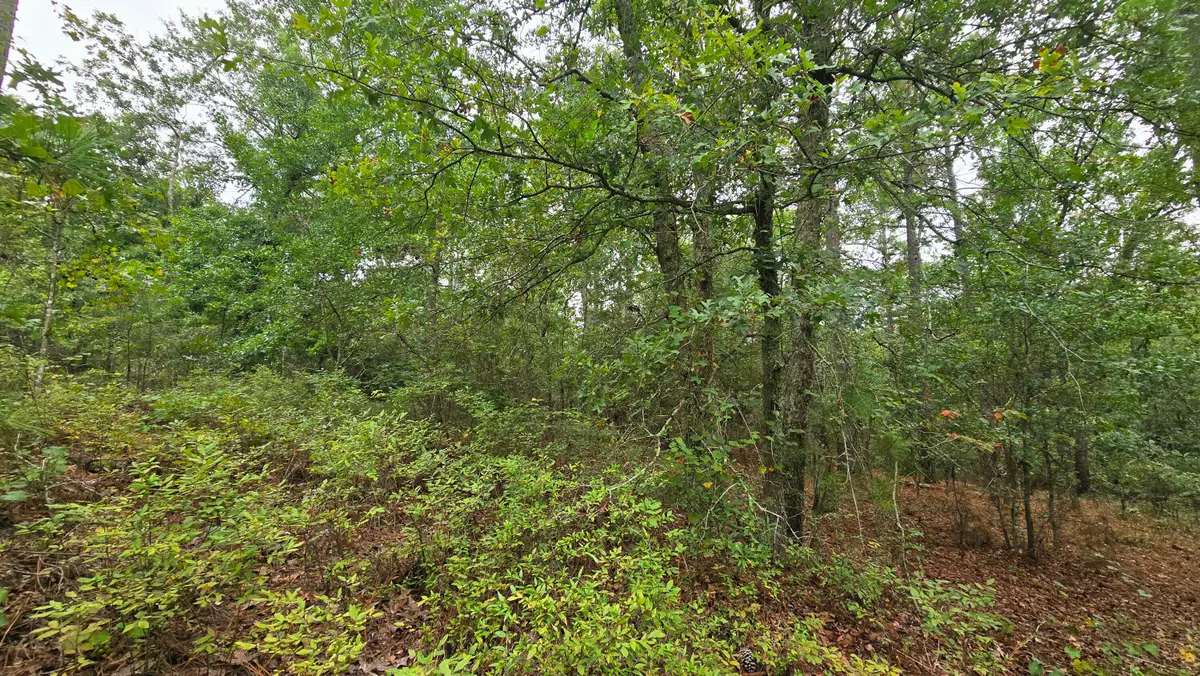 Lot 9 & 10 Cleora Murray Drive, Aiken, SC 29801 - #1