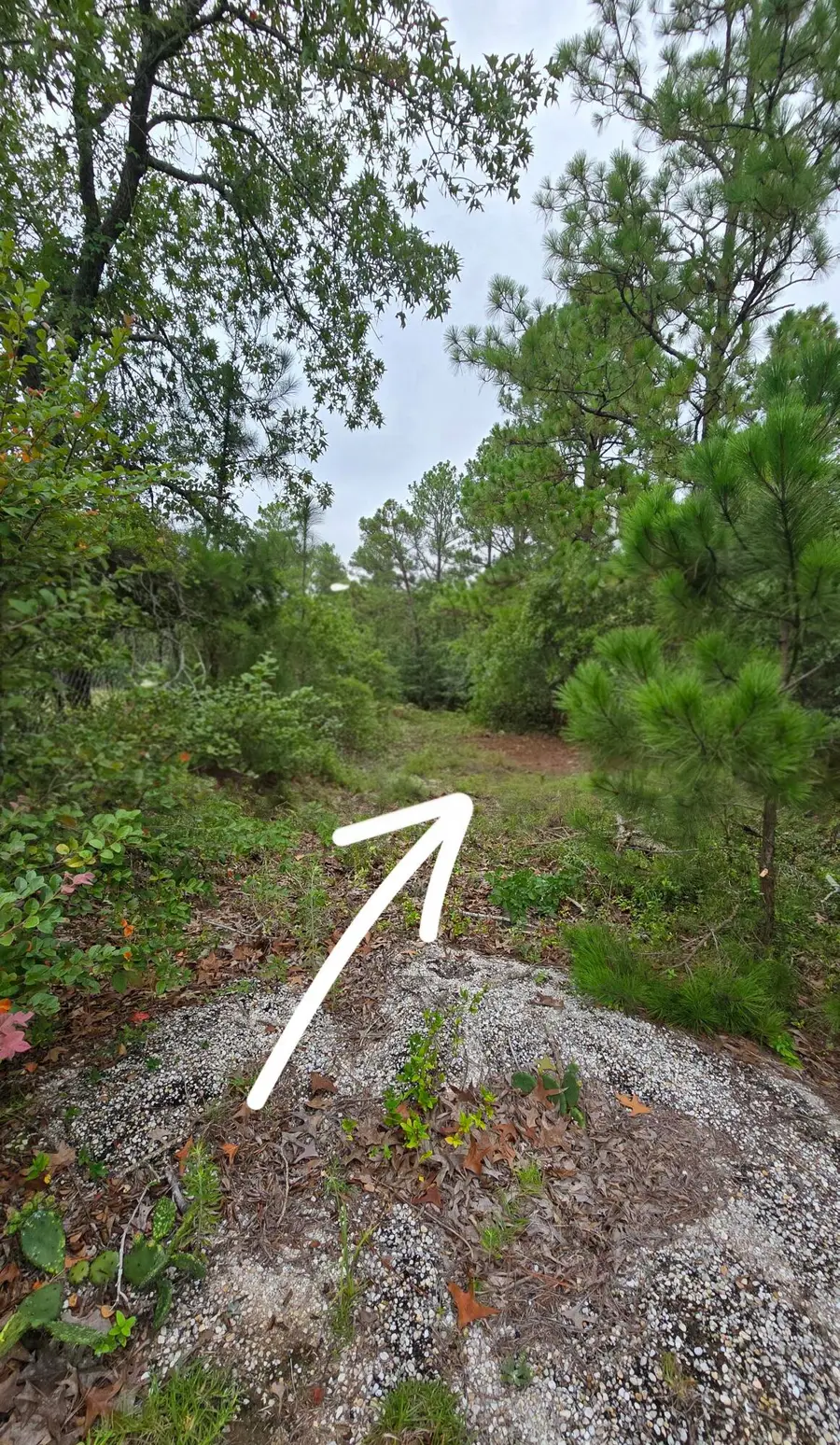 Lot 9 & 10 Cleora Murray Drive, Aiken, SC 29801 - #2