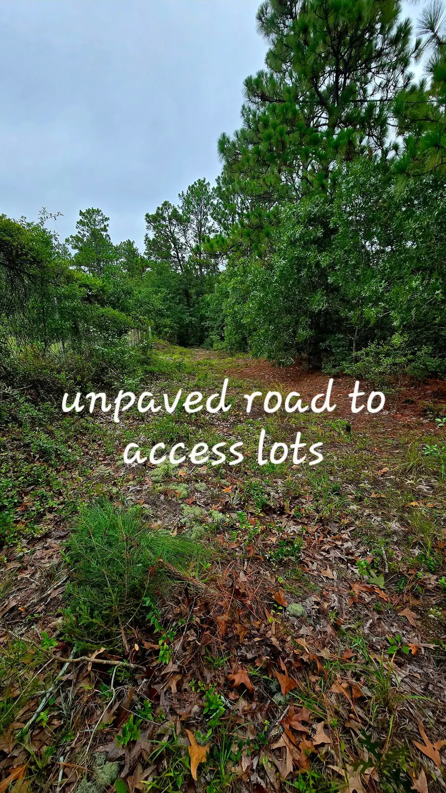 Lot 9 & 10 Cleora Murray Drive, Aiken, SC 29801 - #3