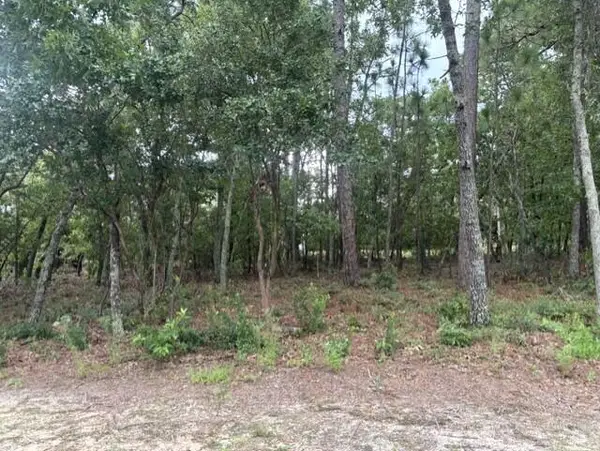 169 Highland Reserve Court, Aiken, SC 29803