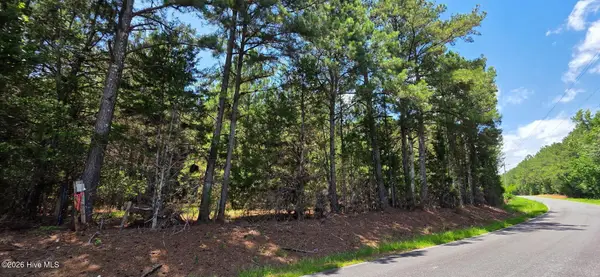 105a Chestnut Ridge Road, Mccormick, SC 29835