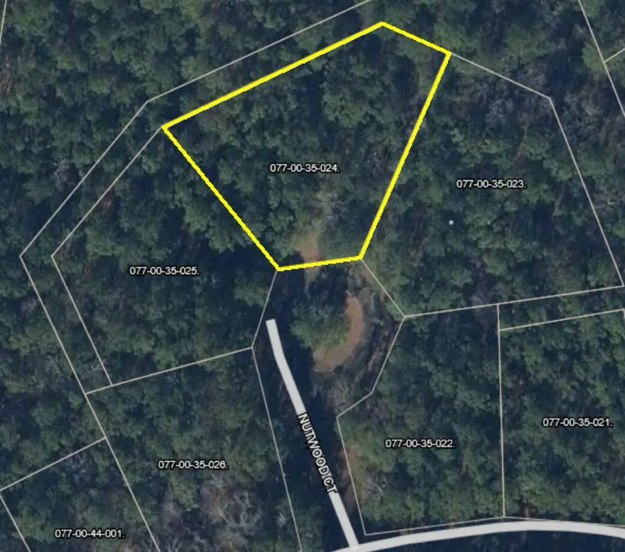 0 Nutwood Court, Mc Cormick, SC 29835 - #2