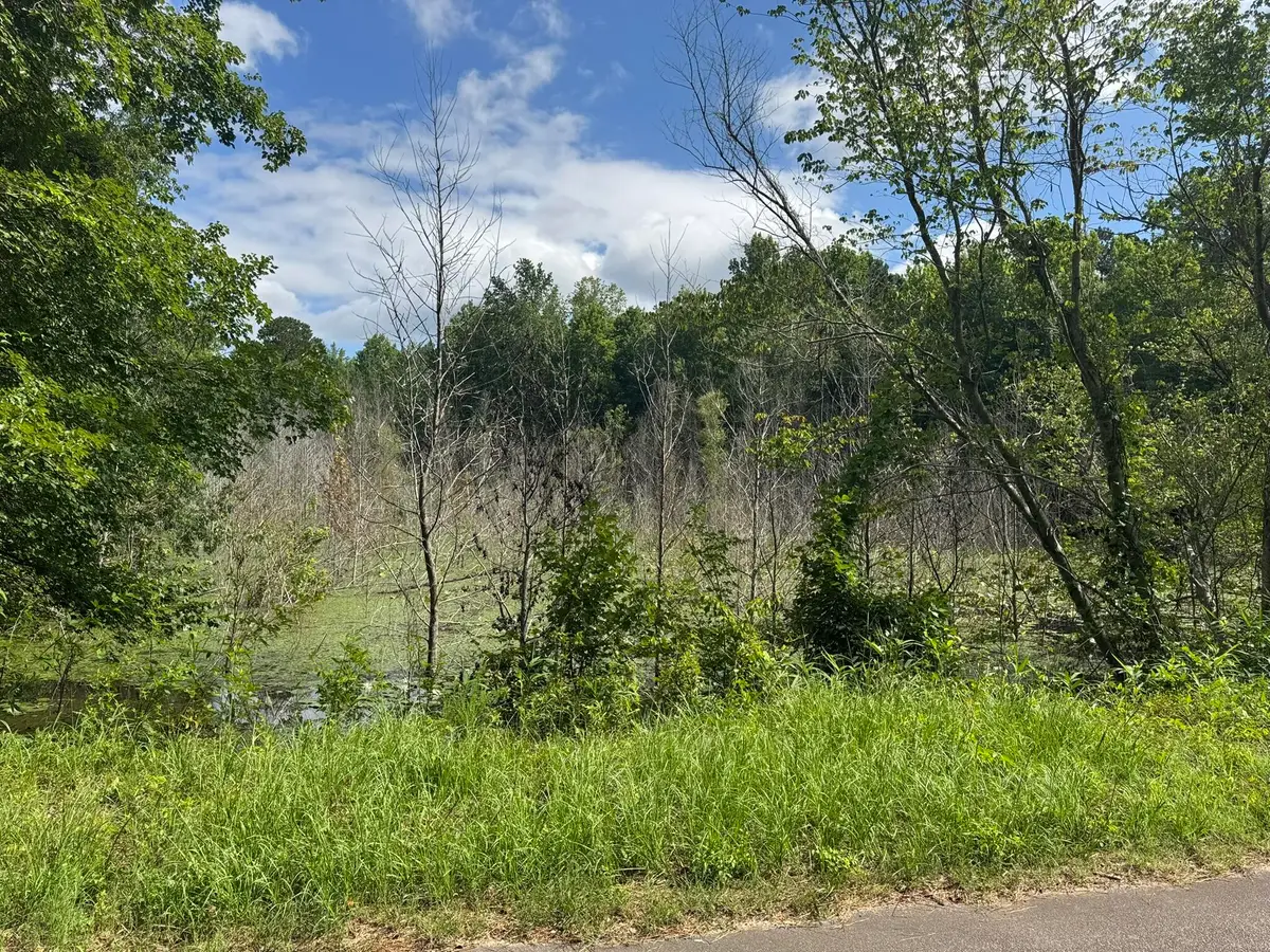 Tbd Festival Trail Road #26 Acres +/-, Salley, SC 29137 - #1