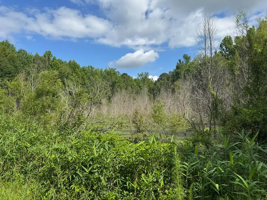 Tbd Festival Trail Road #26 Acres +/-, Salley, SC 29137 - #2