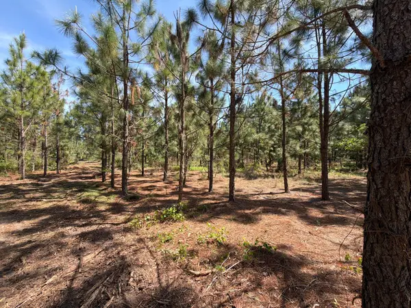Hrf 8 Holstein Road #Hrf 8, Wagener, SC 29164