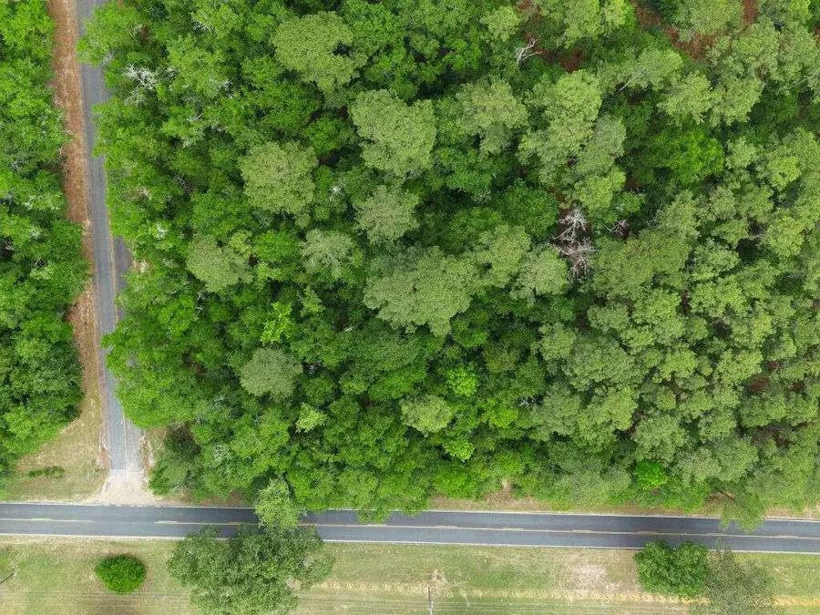 0 Lot 5, Holiness Church Road, Wagener, SC 29164 - #2