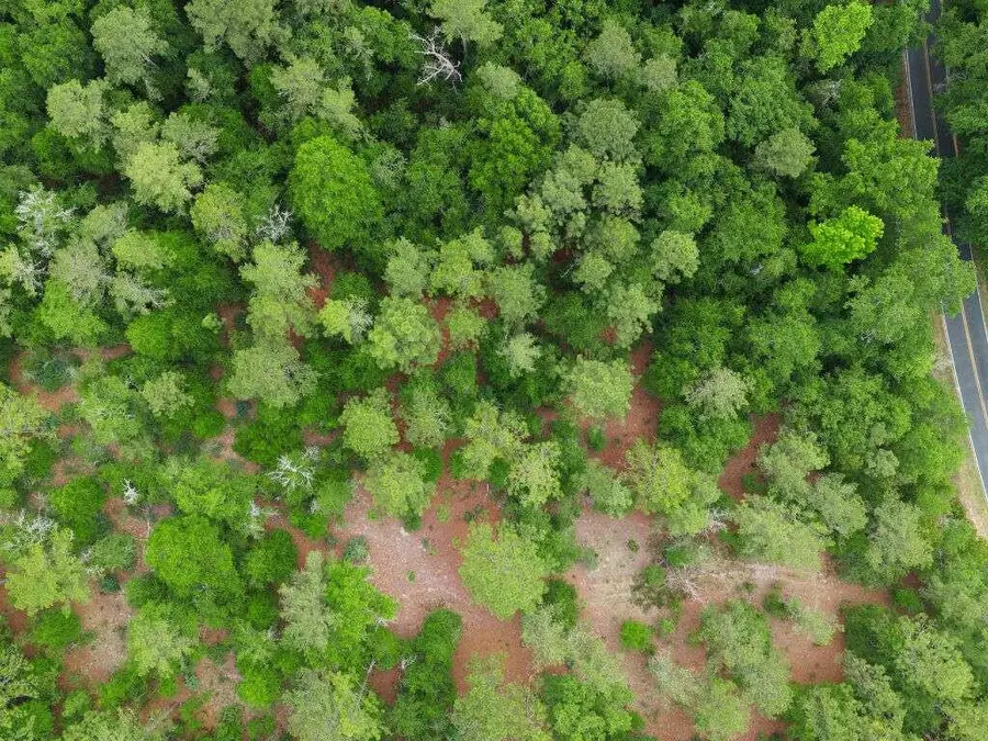 0 Lot 5, Holiness Church Road, Wagener, SC 29164 - #3