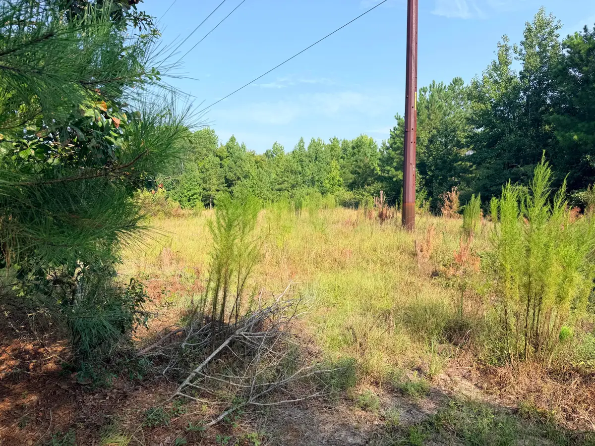 141 Autumn Chase Lane, Beech Island, SC 29842 - #1