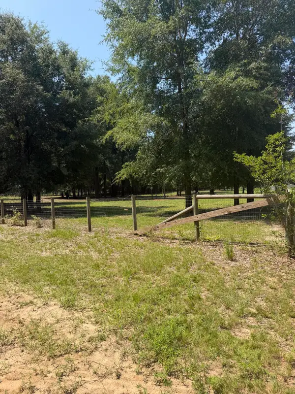5 Cast Iron St (lot 5) Street, Windsor, SC 29856
