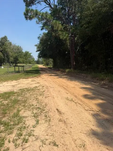 5 Cast Iron St (lot 5) Street, Windsor, SC 29856 - #2