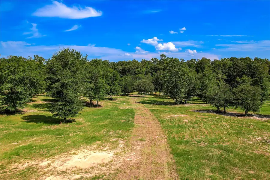 Parcel 5 Lewis Lane, Aiken, SC 29803 - #2