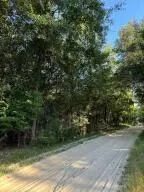 Lot 14 Olde Castle Road, Barnwell, SC 29812 - #2