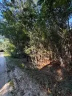 Lot 14 Olde Castle Road, Barnwell, SC 29812 - #3