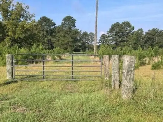 402 State Rd S-6-537, Barnwell, SC 29812 - #1