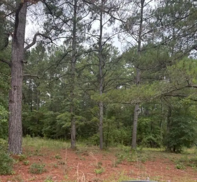 402 State Rd S-6-537, Barnwell, SC 29812 - #2