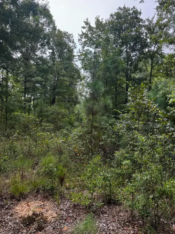 00 Gabe Rd Road, Saluda, SC 29138