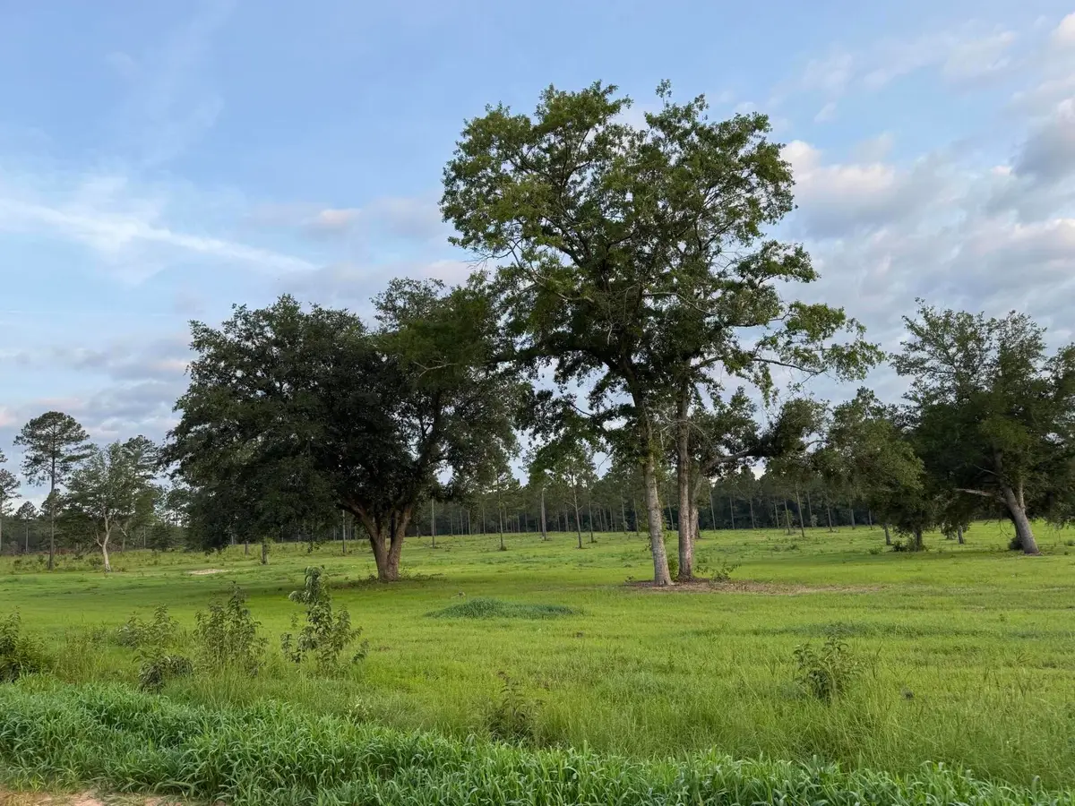 Lot 42 NW Ryndi, Aiken, SC 29805 - #1
