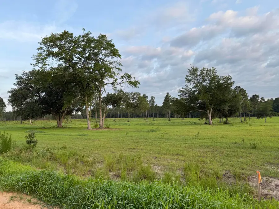 Lot 42 NW Ryndi, Aiken, SC 29805 - #2