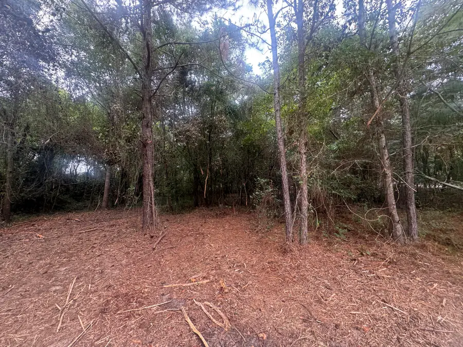 400 Long Street Se, New Ellenton, SC 29809 - #3