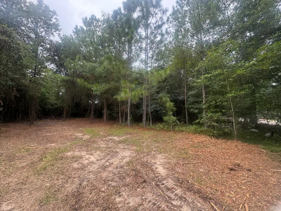 402 Long Street, New Ellenton, SC 29809 - #2