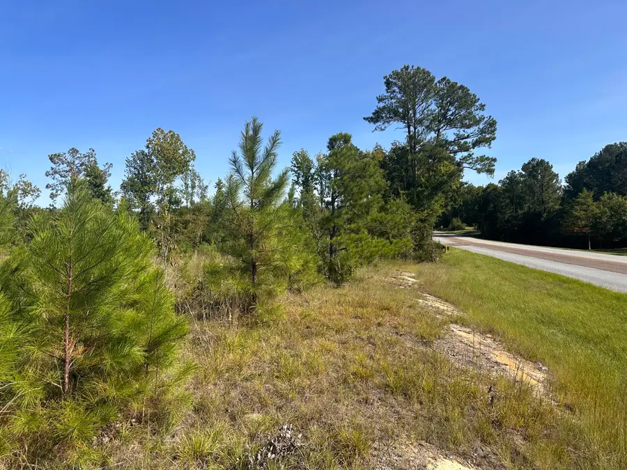 Hwy 139 Old Plum Branch Rd Road, McCormick, SC 29835 - #3