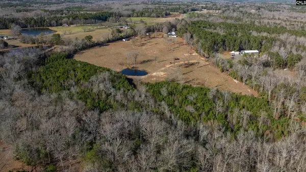 0 Cedar Grove Road, Batesburg-Leesville, SC 29006