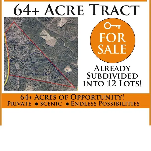 64.68 Acre Mt Beulah Road, Windsor, SC 29856