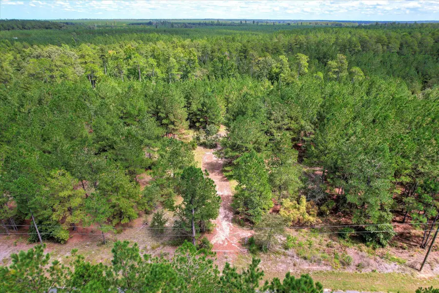 64.68 Acre Mt Beulah Road, Windsor, SC 29856 - #3