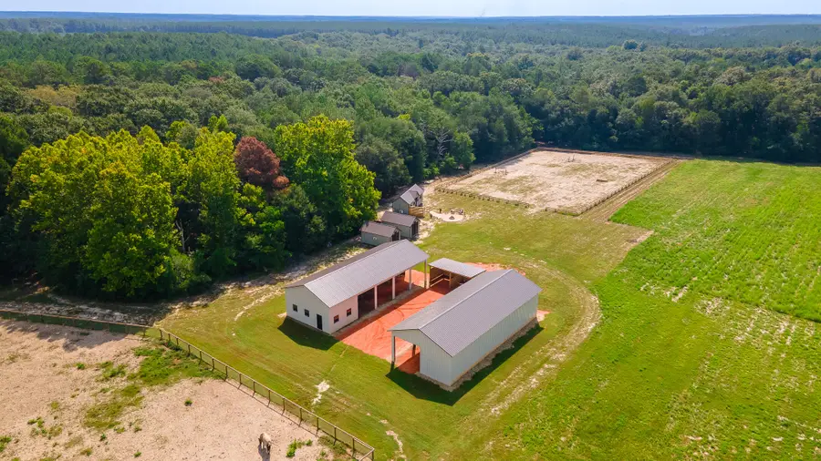 2122 New Holland Road, Wagener, SC 29164 - #3