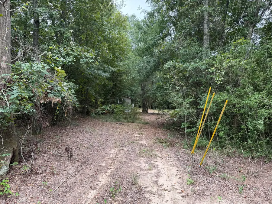 718 Williston Road, Beech Island, SC 29842 - #2