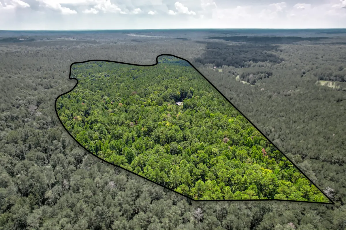 157 Promised Land Road, Edgefield, SC 29824 - #1