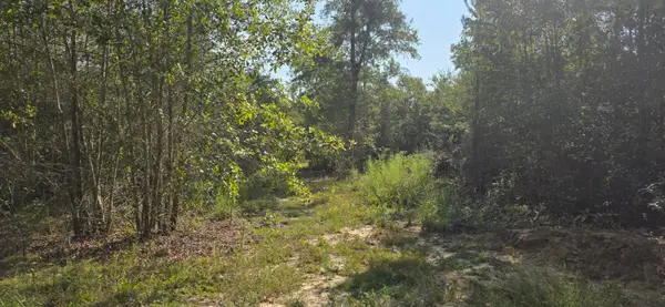 131 Spirit Lane, Aiken, SC 29801