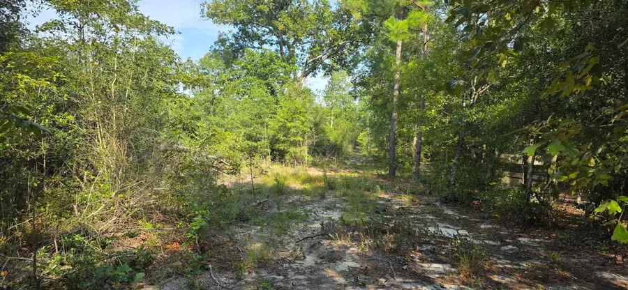 Tbd Spirit Lane, Aiken, SC 29801 - #3