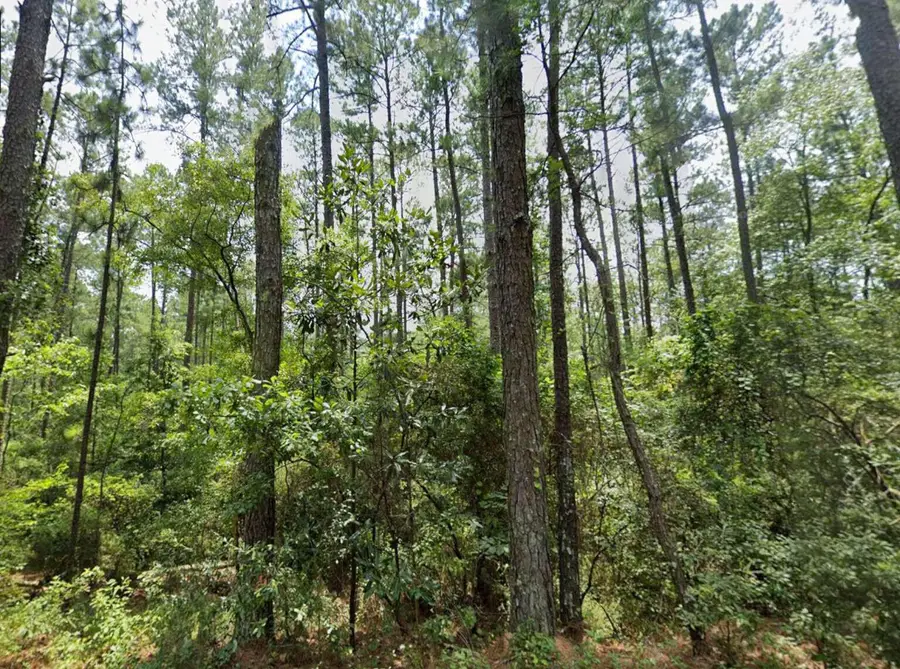 0 Drennan Drive, Warrenville, SC 29851 - #3