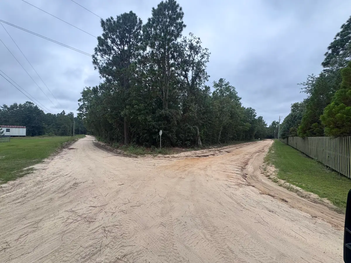 436 Nickletop Road, Windsor, SC 29856 - #1