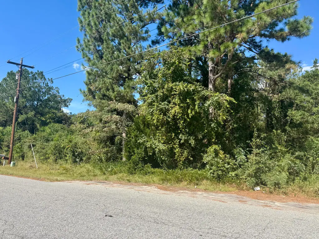 00 S Boundary Avenue, New Ellenton, SC 29809 - #1
