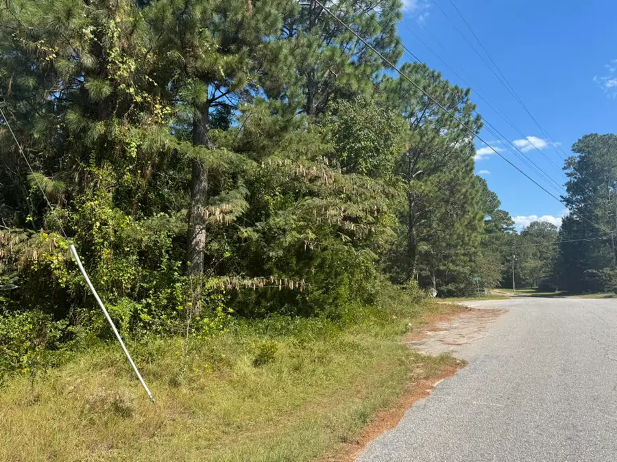 00 S Boundary Avenue, New Ellenton, SC 29809 - #3