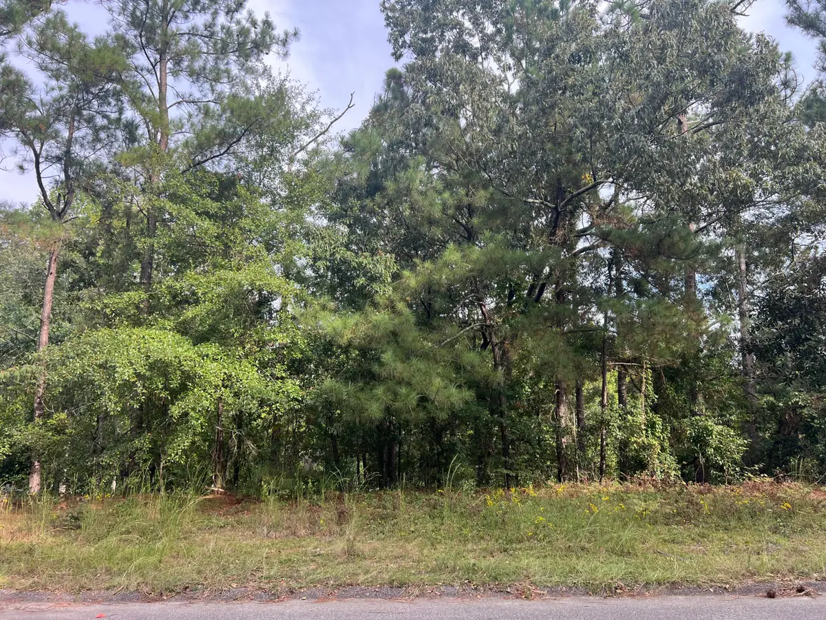110 Springwood Drive, Aiken, SC 29803 - #1