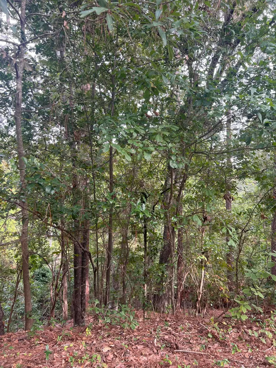 110 Springwood Drive, Aiken, SC 29803 - #3