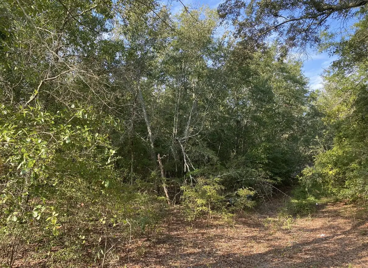 581 Ready Pond Road, Monetta, SC 29006 - #1