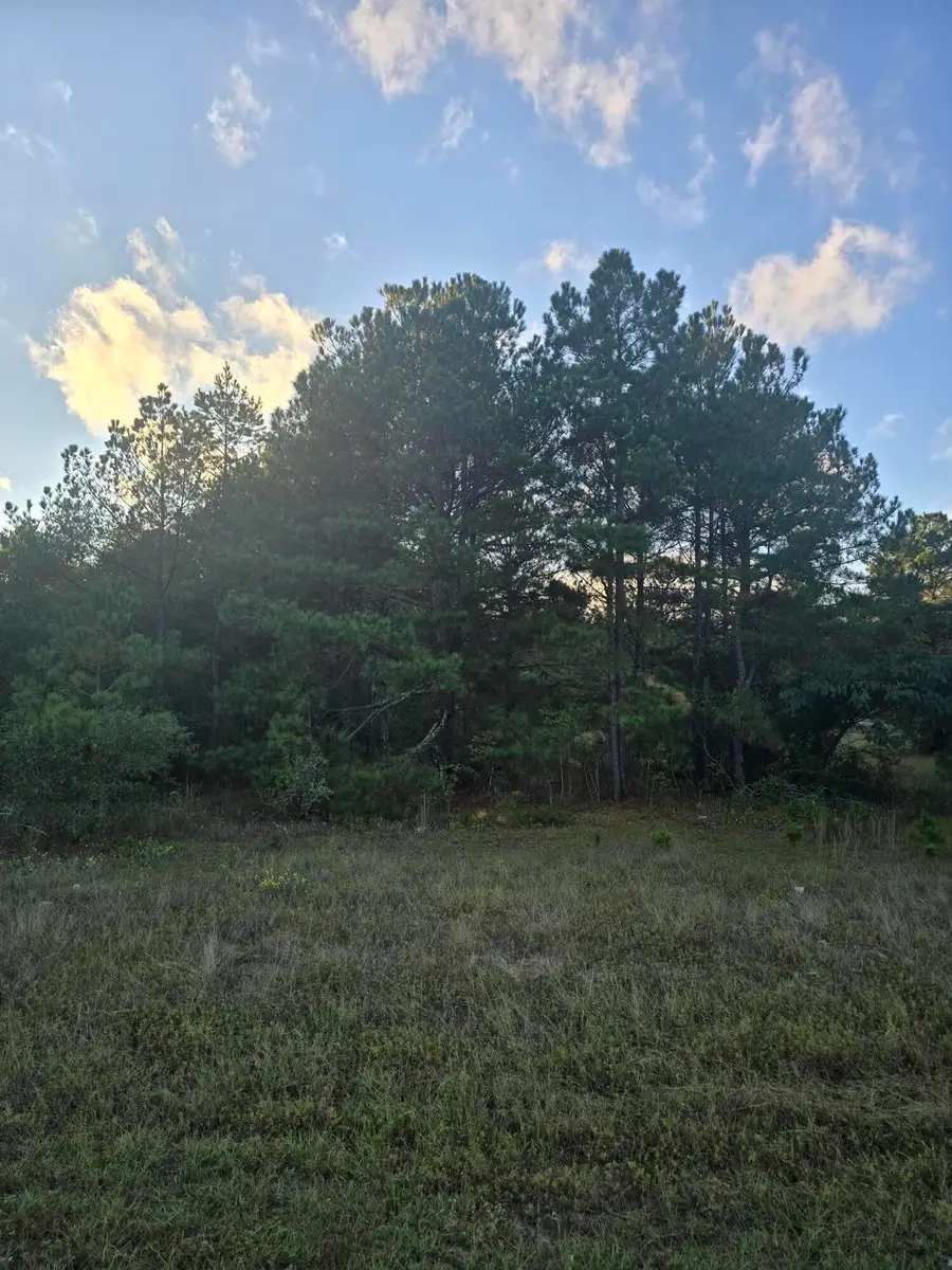 Tbd Highway 25/tower View Dr, Trenton, SC 29847 - #2