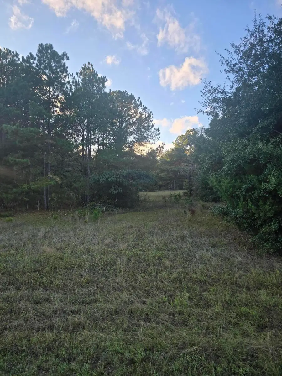 Tbd Highway 25/tower View Dr, Trenton, SC 29847 - #3