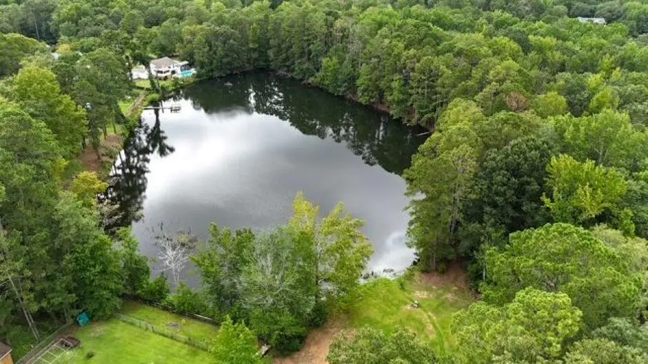 613 Skyline Drive, Batesburg Leesville, SC 29070 - #1